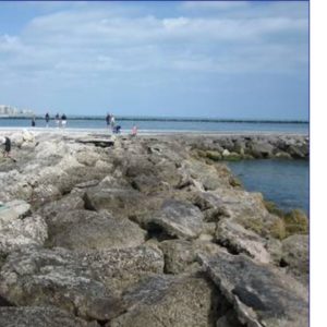 Discover more about the Ft. Pierce Inlet project and what we did.